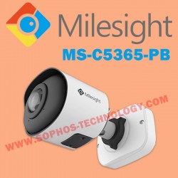 IP Camera Milesight...