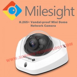 IP Camera CCTV Milesight...